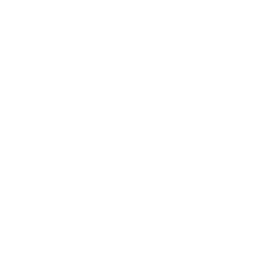 .CEO